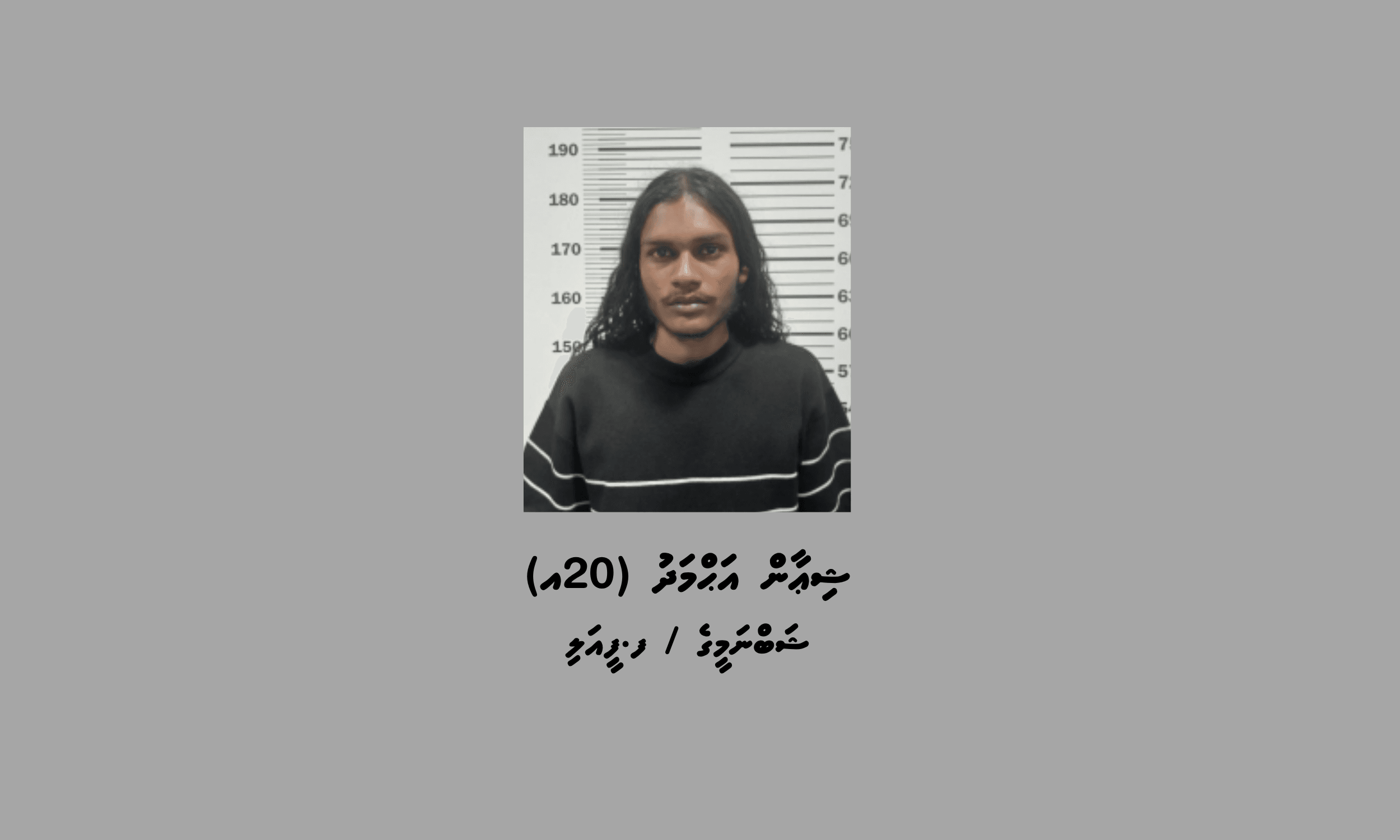 މަސްތުވާތަކެތި ވިއްކާ މީހަކު ހުޅުމާލެއިން ހައްޔަރުކޮށްފި
